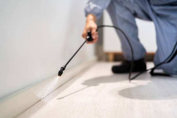 Licensed Pest Control service in Helena Valley West Central, MT - Show Me Pest Control